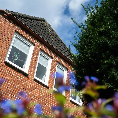 Sylter Seestern Seepferdchen Loft *