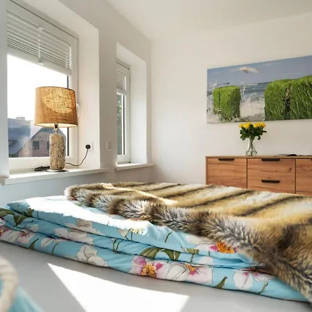 Seepferdchen Loft شقة *
