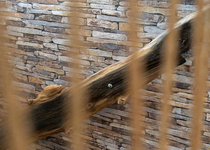 Sylter Seestern Seepferdchen Loft * Sylt